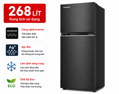 Tủ lạnh Toshiba Inverter 268 lít GR-RB345WE-PMV(30)-BS