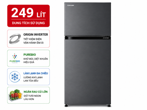 Tủ lạnh Toshiba Inverter 249 lít GR-RT325WE-PMV(06)-MG