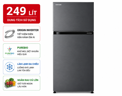 Tủ lạnh Toshiba Inverter 249 lít GR-RT325WE-PMV(06)-MG
