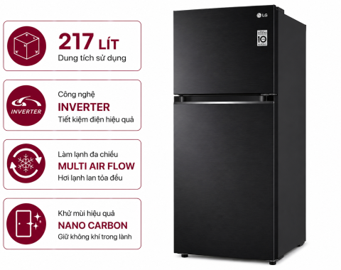 Tủ lạnh LG Inverter 217 lít LTB21BLMI