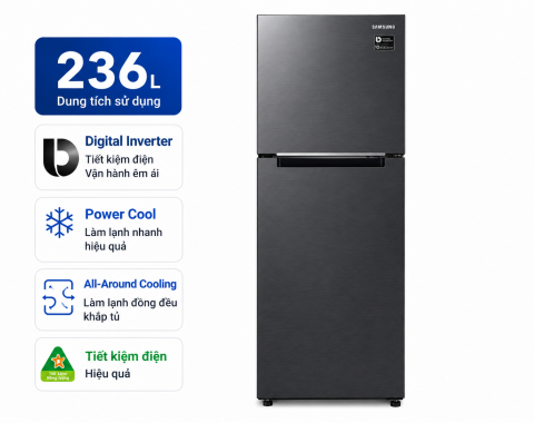 Tủ lạnh Samsung Inverter 236 lít RT22M4032BU/SV