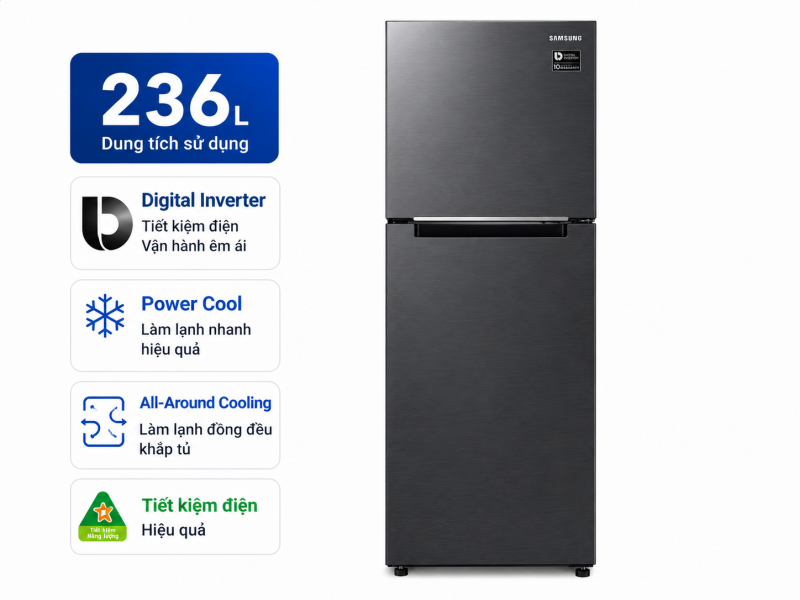 Tủ lạnh Samsung Inverter 236 lít RT22M4032BU/SV