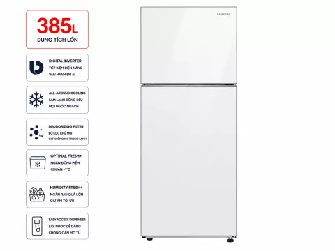 Tủ lạnh Samsung Inverter 385 lít RT38CB668412SV