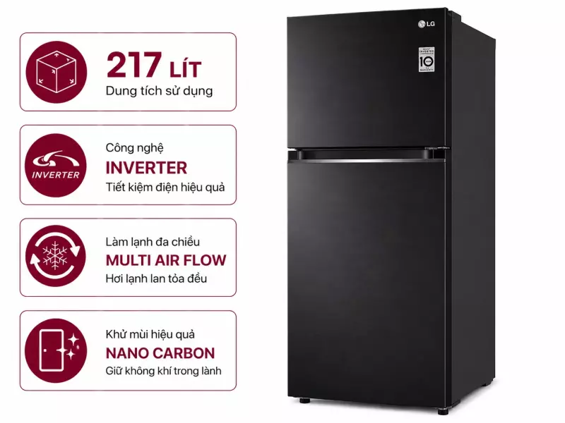Tủ lạnh LG Inverter 217 lít LTB21BLMI
