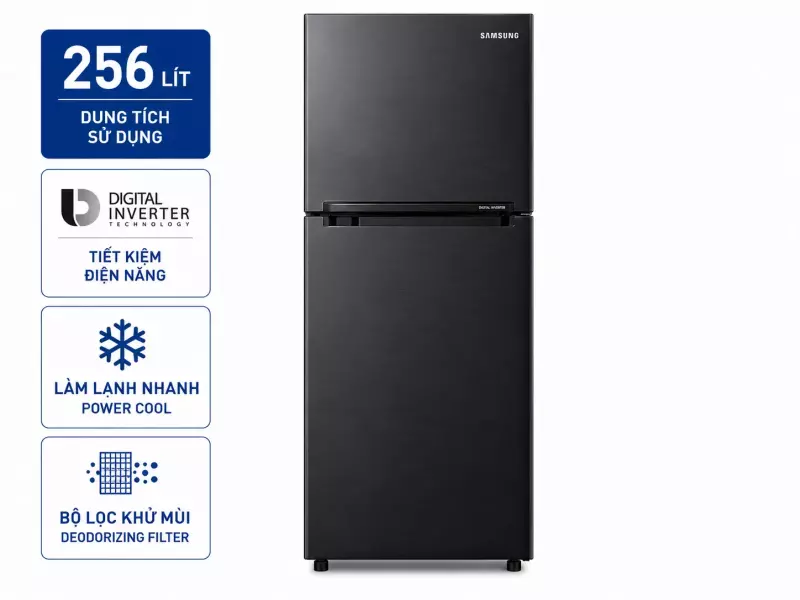 Tủ lạnh Samsung Inverter 256 lít RT25M4032BU/SV